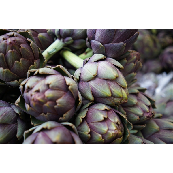 54STR-ART2/ORG  Постер «Артишоки» 70*100см, багет серебряный