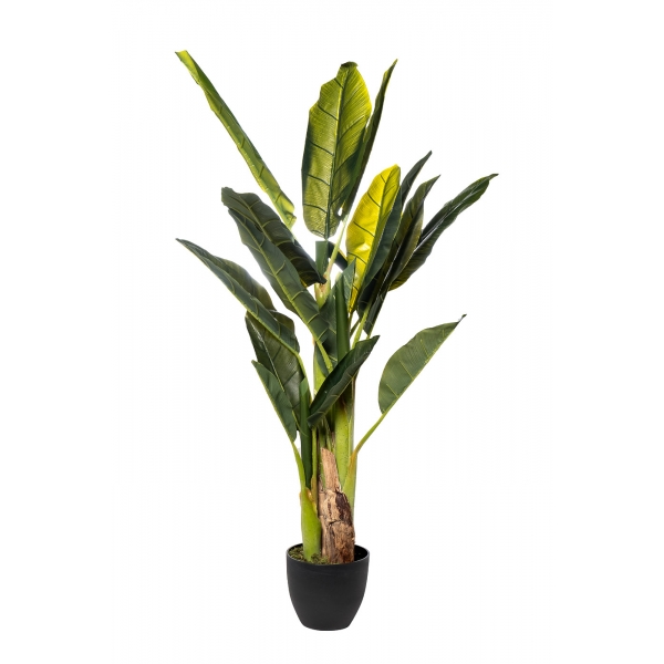 29BJ-803-18 Банановый куст в горшке h120см