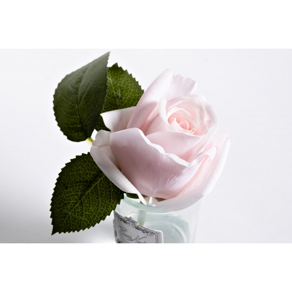 96CN-R46 Диффуз.Rose Bud French Pink,спрей White Gardenia 5мл уп