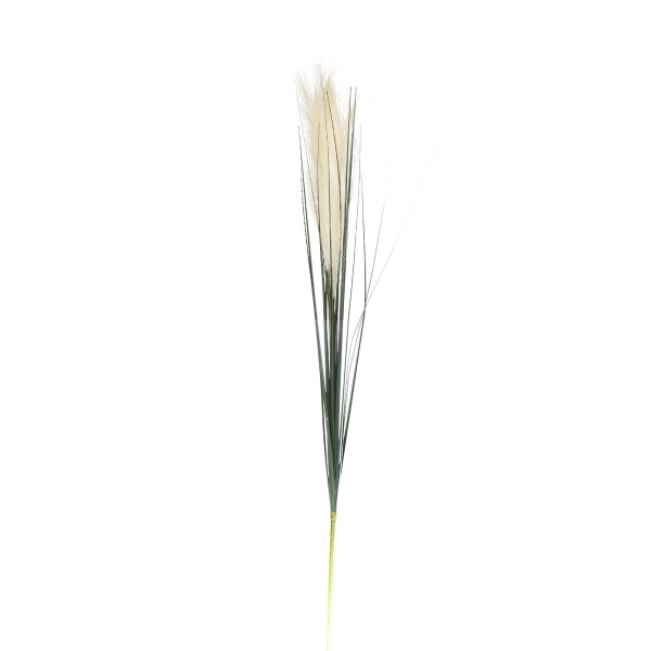 8J-14AB0002 Камыш травянистый белый 80см (36)