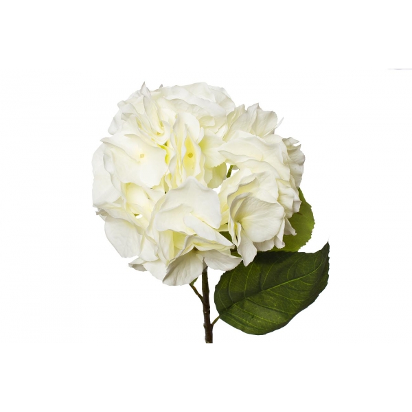 9F28060MK-1538 Гортензия белая 62см (12)