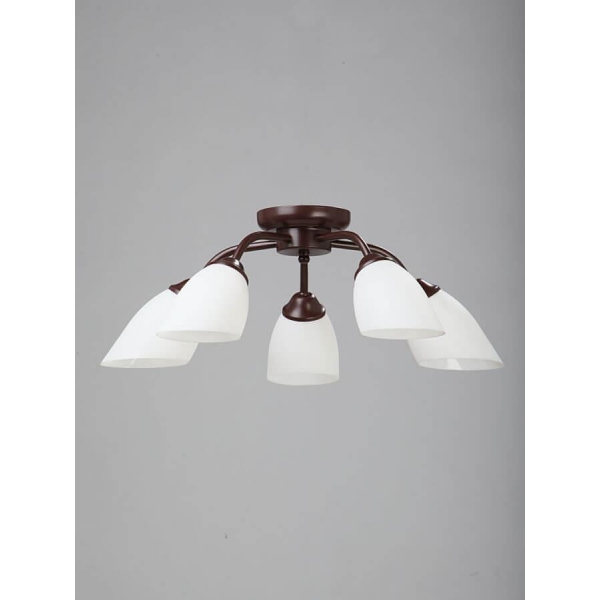 Потолочная люстра Vitaluce V3252/5PL