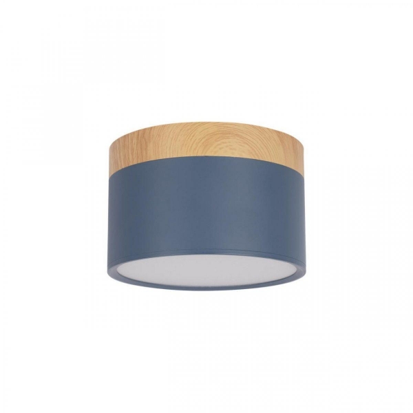 Накладной светодиодный светильник Loft IT Grape 10162 Blue