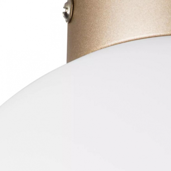 Настенно-потолочный светильник Lightstar Globo 812023