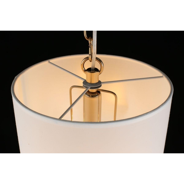 Подвесной светильник Aployt Franula APL.724.06.01