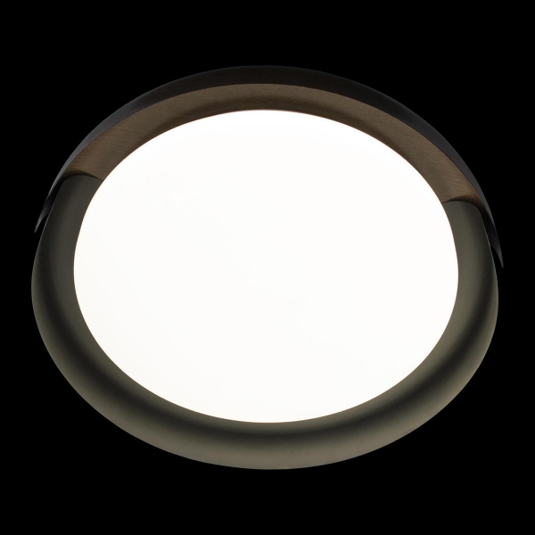 Потолочный светодиодный светильник Loft IT Coin 10198 Black