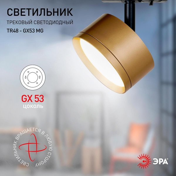 Трековый однофазный светильник ЭРА TR48 - GX53 MG Б0054160