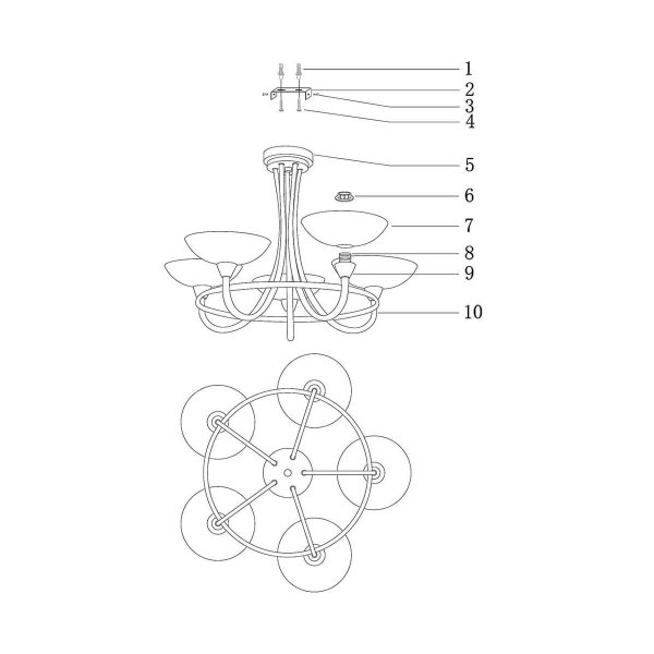 Подвесная люстра Moderli Lione V1204-5C