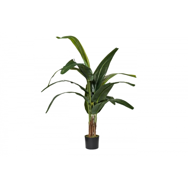 29BJ-778-12  Дерево Traveler's Tree в горшке h140см