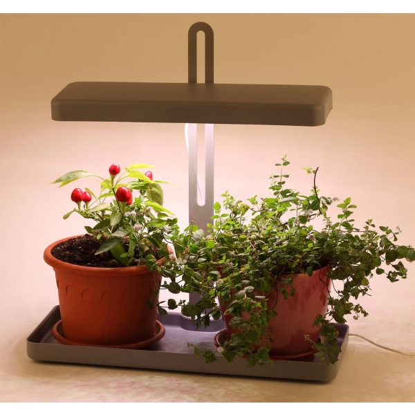 Настольная лампа ЭРА FITO-20W-QLED-G Б0039035