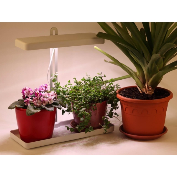 Настольная лампа ЭРА FITO-20W-QLED-W Б0039034