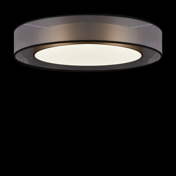 Потолочный светодиодный светильник Freya Zoticus FR6005CL-L48G