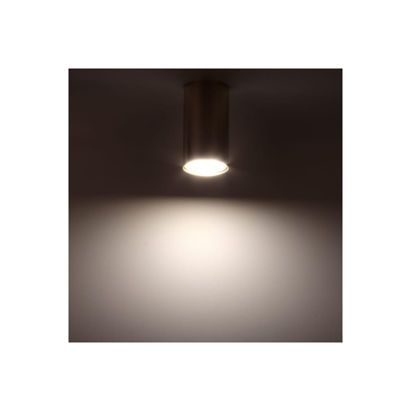 Накладной потолочный светильник Ritter Arton 59953 1