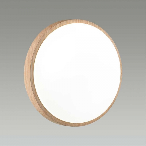 Настенно-потолочный светодиодный светильник Sonex Losta 7607/AL