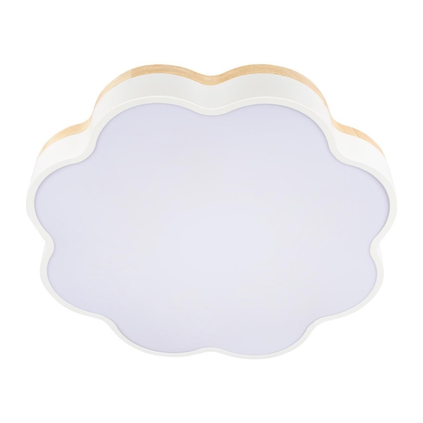 Потолочный светодиодный светильник Loft IT Axel 10225/36 White