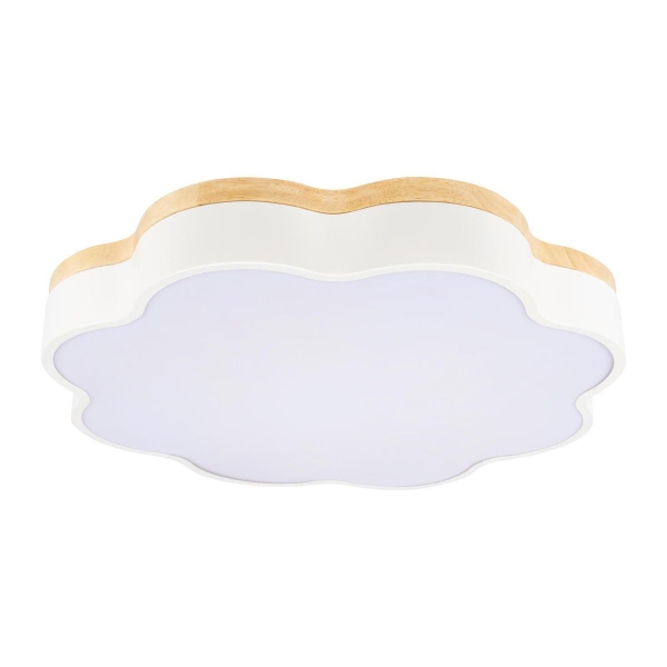 Потолочный светодиодный светильник Loft IT Axel 10225/36 White