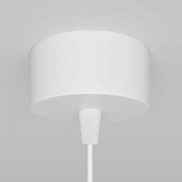 Подвесной светильник Maytoni Technical Focus P075PL-01W