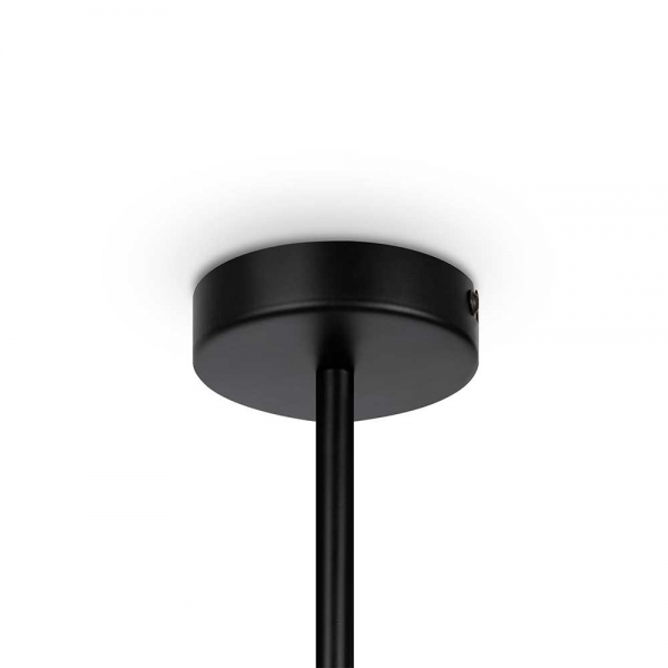 Подвесная люстра Maytoni Memory MOD177PL-04B