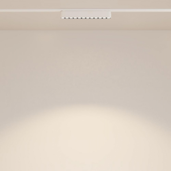 Трековый светодиодный светильник Maytoni Technical Radity Points TR082-1-12W3K-M-W