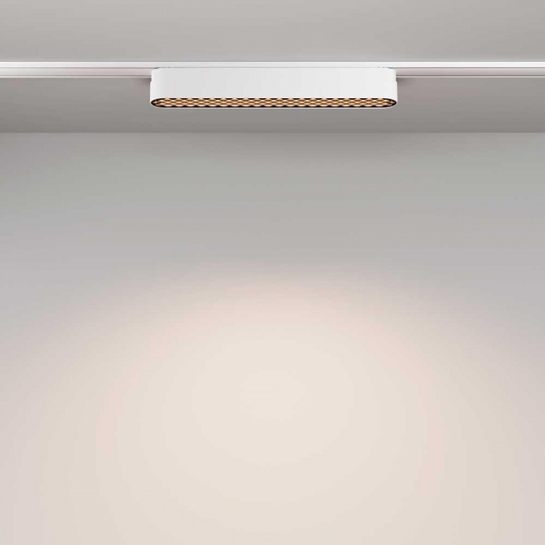 Трековый светодиодный светильник Maytoni Technical Radity Basis Grid TR084-1-12W4K-W