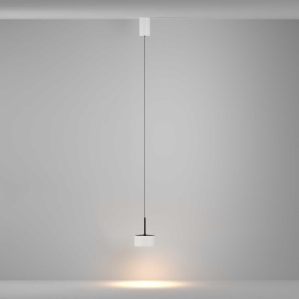 Подвесной светильник Maytoni Technical P102PL-12W3K-W