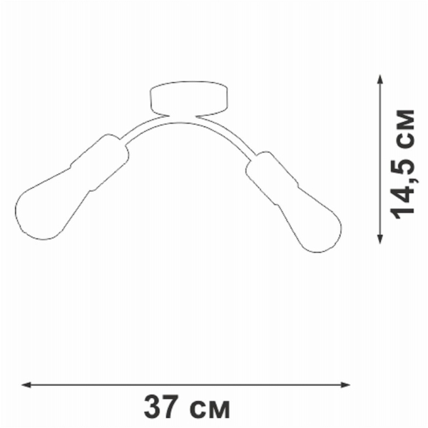 Потолочный светильник Vitaluce V4989-0/2PL