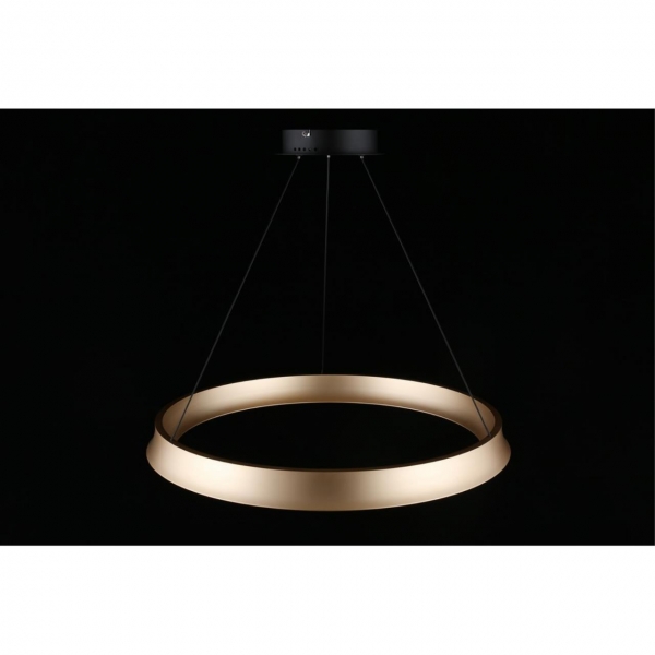 Подвесной светодиодный светильник Aployt Justyna APL.787.03.50