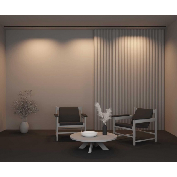 Трековый светильник Maytoni Technical TR174-1-24WTW-M-B