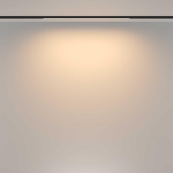 Трековый светильник Maytoni Technical TR173-1-16WTW-B