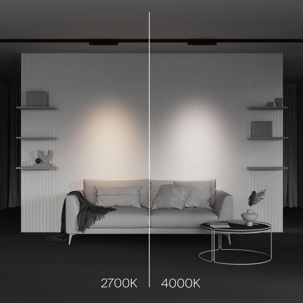 Трековый светодиодный светильник Maytoni Technical Points TR195-3-10W2.7K-M-B