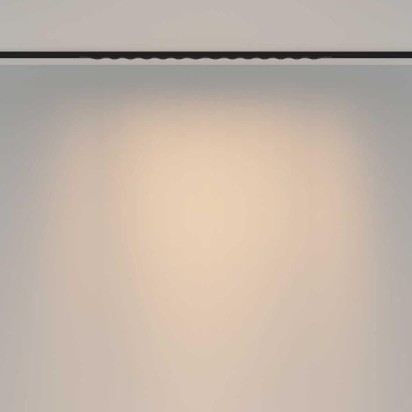 Трековый светильник Maytoni Technical TR175-1-24WTW-M-B