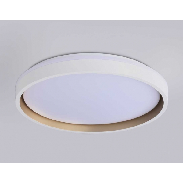 Потолочный светодиодный светильник Ambrella light Orbital Dance FZ607