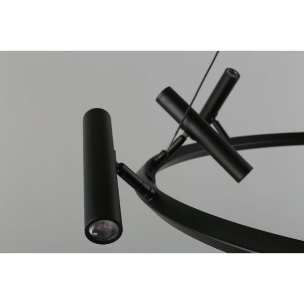 Подвесная светодиодная люстра Aployt Honor APL.067.03.50