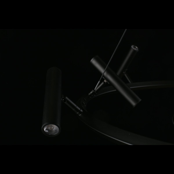 Подвесная светодиодная люстра Aployt Honor APL.067.03.50