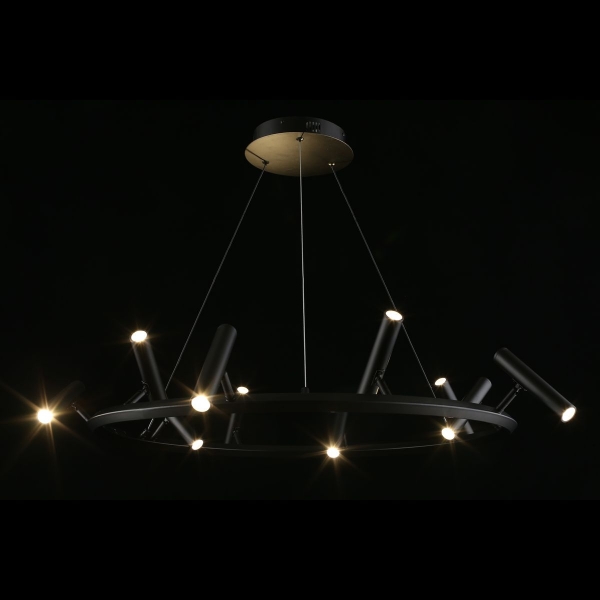 Подвесная светодиодная люстра Aployt Honor APL.067.03.50