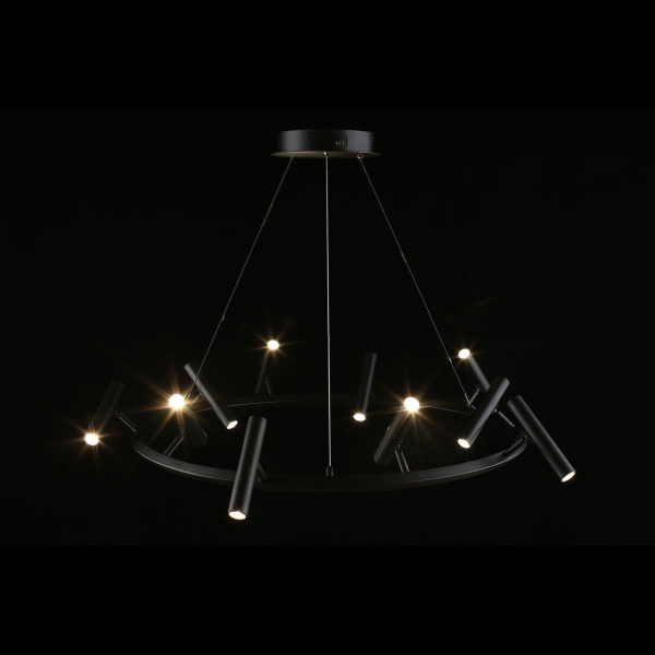 Подвесная светодиодная люстра Aployt Honor APL.067.03.50