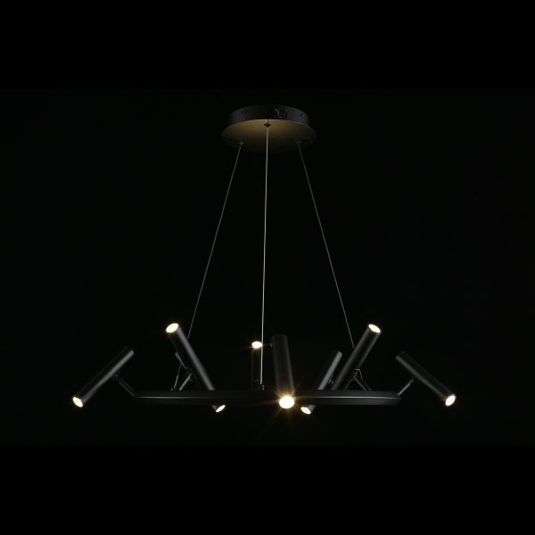 Подвесная светодиодная люстра Aployt Honor APL.067.03.40