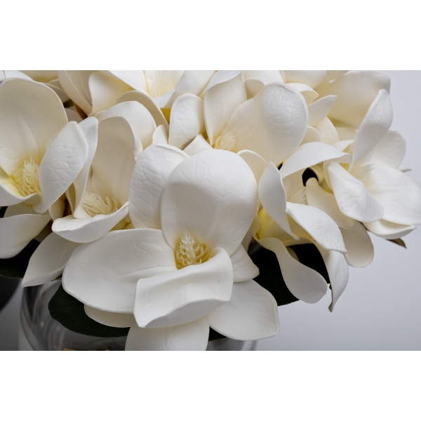 96CN-RG0005 Диффузор Magnolia white , спрей Winter in Chateau 2*10 ml в упак.