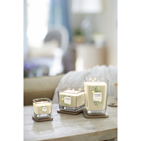 103YK-1591071E Свеча аромат. большая Цитрусовая роща 552гр(4)