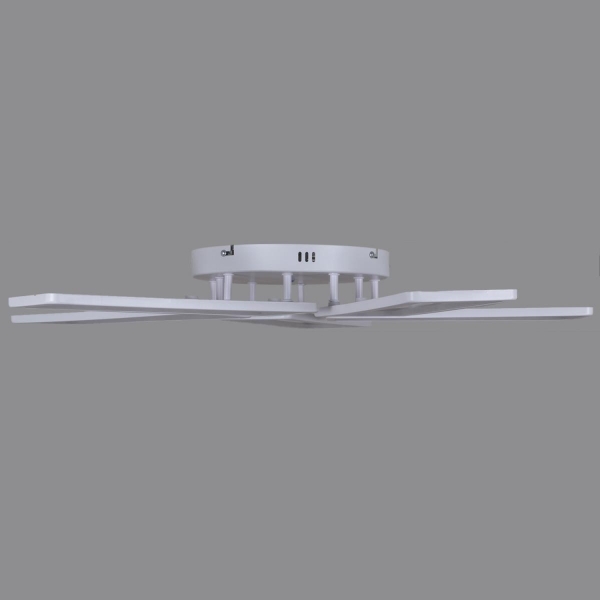 Потолочный светильник Reluce 03629-0.3-05B WH