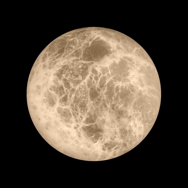 Настенный светильник LOFT IT Emi 10414W/M