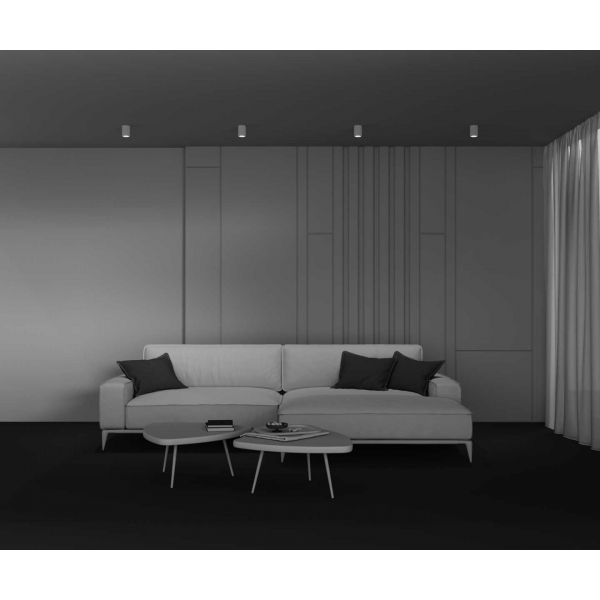 Потолочный светильник Maytoni Technical C121CL-GU10-W