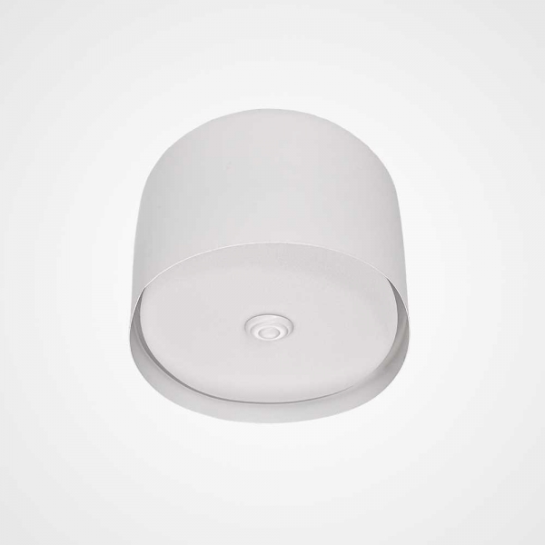 Потолочный светильник Imperium Loft Cylinder 101495-26