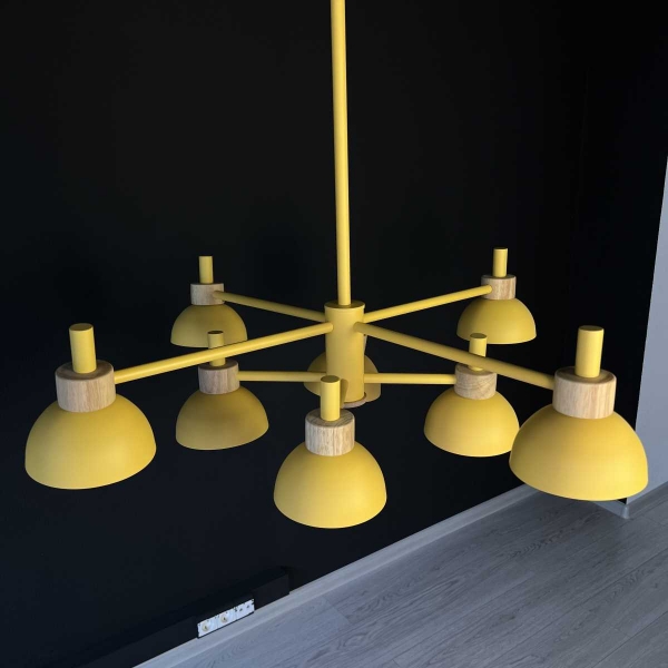 Подвесная люстра Imperium Loft Fanta 101568-26