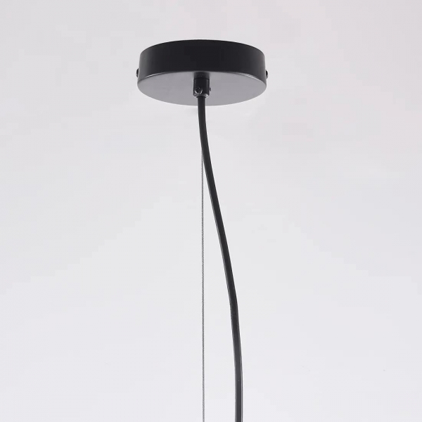 Подвесная люстра Imperium Loft Peo A D60 232561-23