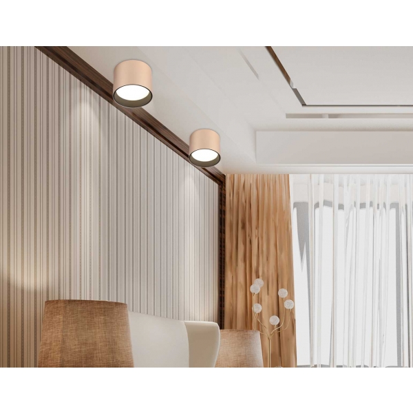 Светильник накладной Ambrella Light TN5305