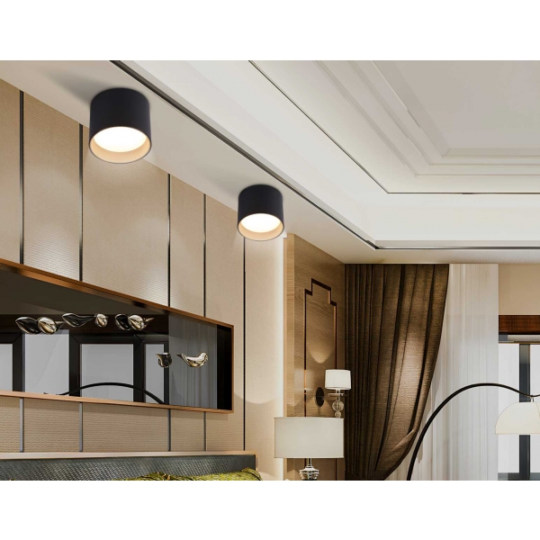 Светильник накладной Ambrella Light TN5306