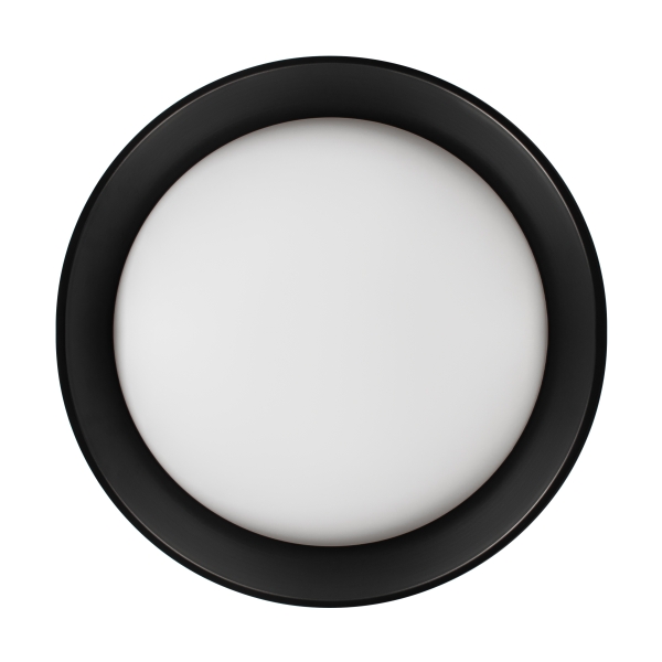 Потолочный светильник Loft it Coin 10202 BB