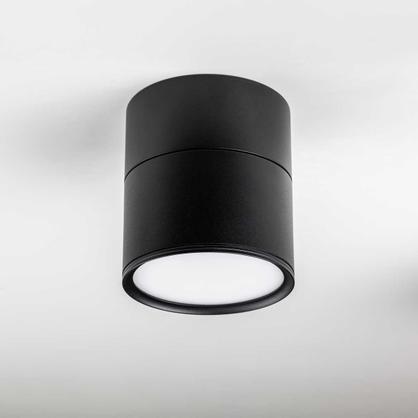 Светильник накладной Lightstar Acuto 215887