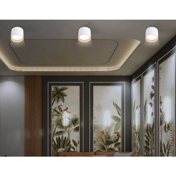 Светильник накладной Ambrella Light TN5304